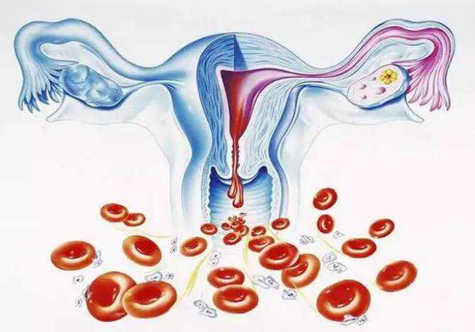 如何提高卵巢功能，进而提高试管成功率？