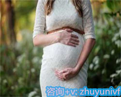 详细解析苏州试管助孕的选择与流程，助您走向成功的第一步