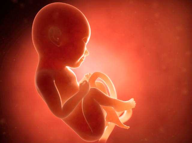 苏州试管婴儿成功率为何有差异？关键因素大揭秘