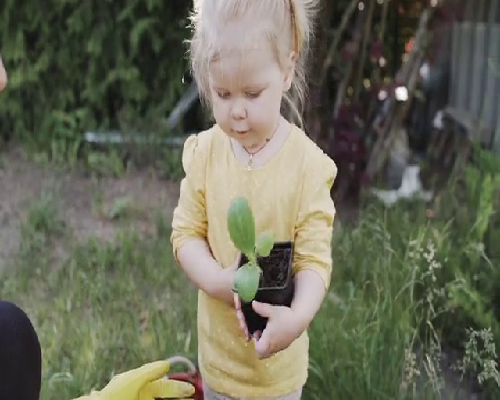 供卵试管全包,格鲁吉亚做试管的费用是多少，哪家医院性价比更高