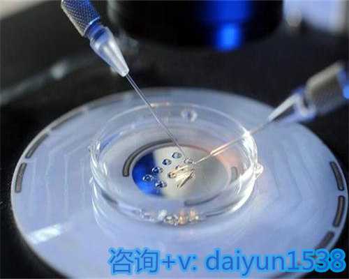 提供精子卵子找人受孕要准备什么,2026年江苏省淮安市十大助孕服务平台推荐（新版）：没想到个个都挺靠谱，稳了！