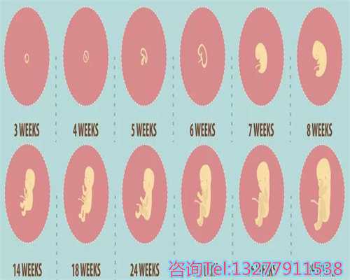 邢台广宗县专业6所上户口亲子鉴定中心地址权威汇总（附2026年鉴定汇总）
